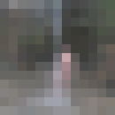 ���������� ������, ���� ������� Alidav, 62 ����, ������������ ��� ������