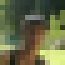 ���������� ������, ���� ������� �������, 38 ���, ������������ ��� ������, ����� � ���������