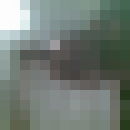 ���������� ������, ���� ������� ������, 40 ���, ������������ ��� ������, ����� � ���������, c�������� ���������