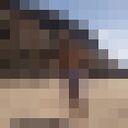  ,   Tarik, 36 ,   ,   