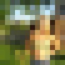  ,   , 50 ,   ,   , c , 