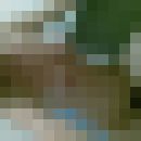  ,   Verona, 39 ,  