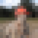 ���������� �����-���������, ���� ������� ������, 37 ���, ������������ ��� ������, ����� � ���������, c�������� ���������, ���������