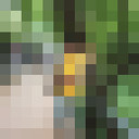 ���������� ����, ���� ������� Vanya, 27 ���, ������������ ��� ������, ����� � ���������, c�������� ���������