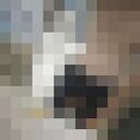 ���������� ���������, ���� ������� �����, 27 ���, ������������ ��� ������, ����� � ���������, c�������� ���������, ���������