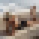 ���������� ������, ���� ������� ��������, 40 ���, ������������ ��� ������, ����� � ���������, ���������