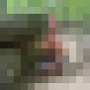   ,   , 35 ,   ,   , 