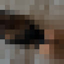 ���������� ��������, ���� ������� ��������, 26 ���, ������������ ��� ������, ����� � ���������