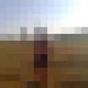  ,   , 68 ,   