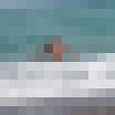 ���������� �����������, ���� ������� ��������, 49 ���, ������������ ��� ����� � ���������, c�������� ���������