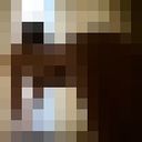  ,   Natakoks, 44 ,   ,   , c 