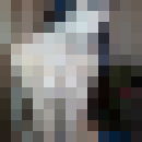 ���������� ������, ���� ������� ������, 42 ����, ������������ ��� ������, ����� � ���������, c�������� ���������, ���������