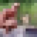  .   .   ,  