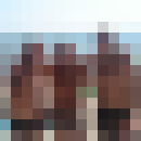  ,   , 49 ,   ,   , c 
