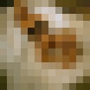 ���������� ������, ���� ������� �����, 23 ����, ������������ ��� ������, ����� � ���������