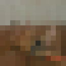   ,   TIMUR, 36 ,   ,   , c 