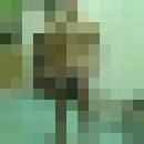 ���������� �������, ���� ������� Stepan, 36 ���, ������������ ��� ����� � ���������, c�������� ���������