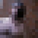  ,   Zik, 36 ,   ,   
