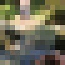 ���������� ������, ���� ������� ���������, 34 ����, ������������ ��� ������, ����� � ���������, c�������� ���������