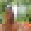 ���������� ��������-��-������, ���� ������� ����, 42 ����, ������������ ��� ����� � ���������, c�������� ���������, ���������