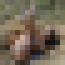  ,   , 42 ,   