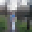  Azor,   , 41 ,     