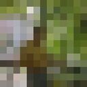  -,   , 50 ,     , c 