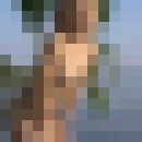 ���������� ����, ���� ������� �����, 45 ���, ������������ ��� ����� � ���������, c�������� ���������