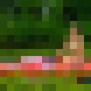 ���������� ������, ���� ������� �����, 31 ���, ������������ ��� ������, ����� � ���������