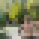 ���������� ���������, ���� ����� �����, 21 ���, ������������ ��� ������, ����� � ���������