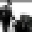 ���������� ������������, ���� ������� ���, 29 ���, ������������ ��� ������, ����� � ���������