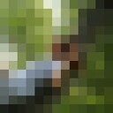 ���������� ������, ���� ������� ���������, 27 ���, ������������ ��� ������, ����� � ���������, c�������� ���������