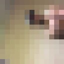  ,   Ditrix, 38 ,   ,   , c , 
