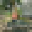  Berne,   Kks, 36 ,   ,   