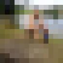  ,   ARMAN 666, 42 ,   