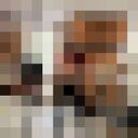 ���������� �������, ���� ����� ���������, 19 ���, ������������ ��� ������, ����� � ���������