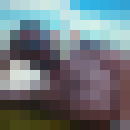  ,   , 50 ,   