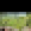 ���������� ������, ���� ������� �������, 37 ���, ������������ ��� ������, ����� � ���������