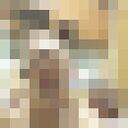 ���������� ���������, ���� ������� ��������, 38 ���, ������������ ��� ������, ����� � ���������