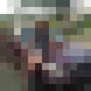  ,   , 53 ,   ,   , c 