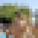 ���������� ����, ���� ����� Ҹ�, 24 ����, ������������ ��� ������, ����� � ���������