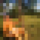 ���������� �������, ���� ������� ������, 47 ���, ������������ ��� ����� � ���������, c�������� ���������