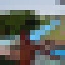 ���������� ����������, ���� ������� ��������, 41 ���, ������������ ��� ������, ����� � ���������, c�������� ���������, ���������