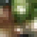 ���������� ������, ���� ������� ˸��, 34 ����, ������������ ��� ������, ����� � ���������