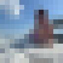 ���������� ������, ���� ������� �����, 42 ����, ������������ ��� c�������� ���������