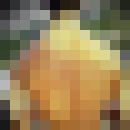  ,   , 31 ,   ,   , c , 