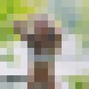 ���������� ������, ���� ������� �������, 20 ���, ������������ ��� ������, ����� � ���������