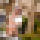 ���������� ������, ���� ������� ��������, 47 ���, ������������ ��� c�������� ���������