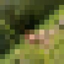 ���������� �����, ���� ������� �����, 46 ���, ������������ ��� ����� � ���������, c�������� ���������