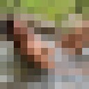 ���������� ������, ���� ������� �������, 37 ���, ������������ ��� ������, ����� � ���������